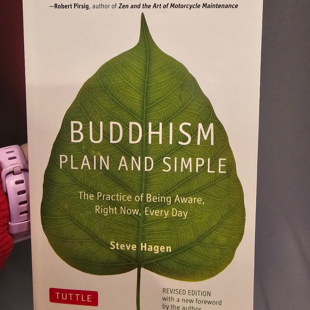 Buddhism Plain and Simple by Steve Hagen